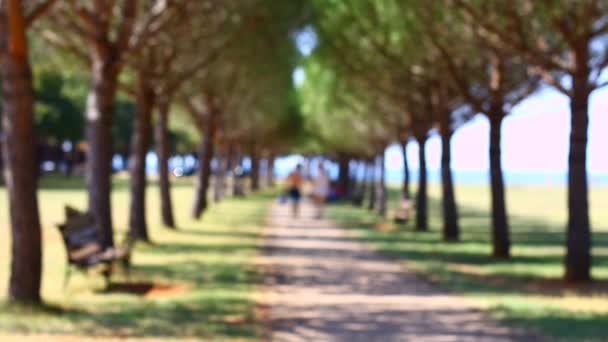 Människor Sommarpark Nära Havet — Stockvideo