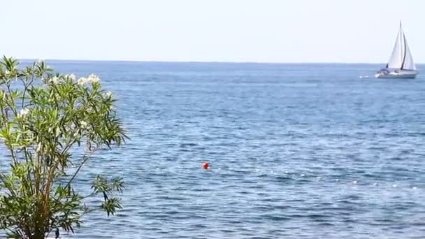 Small Motor Boat Approaching Buoy Markers Dividing Swimming Safe Area — Vídeo de Stock