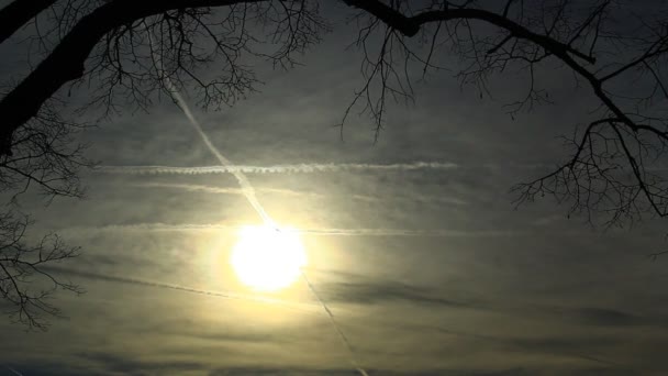 Tierras Tiempo Siluetas Casi Aterradoras Árboles Sol Bajo Las Nubes — Vídeos de Stock