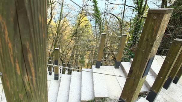 Walking Snowed Stairs Park — Video Stock