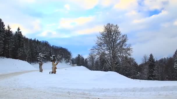Inverno Freddo Paesaggio Foresta Montagna — Video Stock