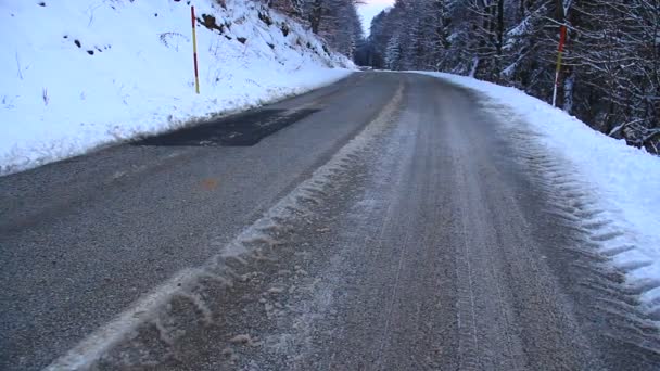 Road Frozen Forest Winter — ストック動画