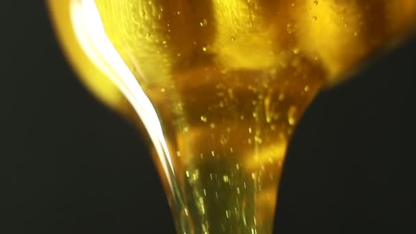 Μακρο Από Χρυσό Μέλι Και Ξύλινη Κουτάλα — Αρχείο Βίντεο