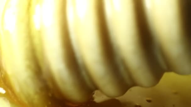 黄金の蜂蜜のマクロクリップを入れる — ストック動画