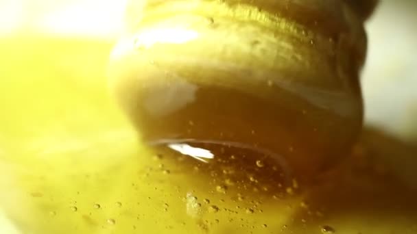 Coloração Mel Dourado Macro Clipe — Vídeo de Stock