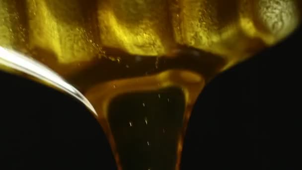 Extreme Macro Honey Drip Golden Honey — Vídeo de Stock