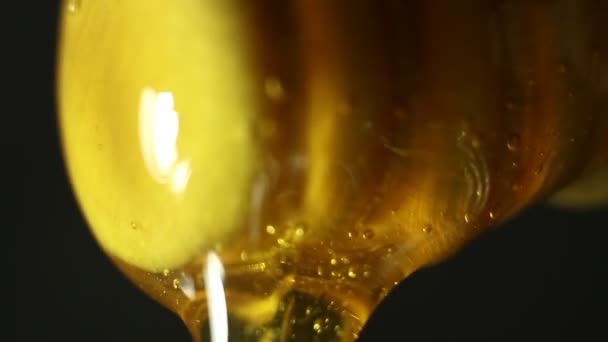 黄金の蜂蜜と木のスプーンのマクロ — ストック動画