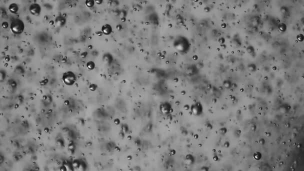 Пузыри Создающие Перемещающиеся Геле Супермакроклип — стоковое видео