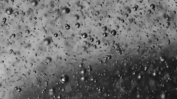 Пузыри Создающие Перемещающиеся Геле Супермакроклип — стоковое видео