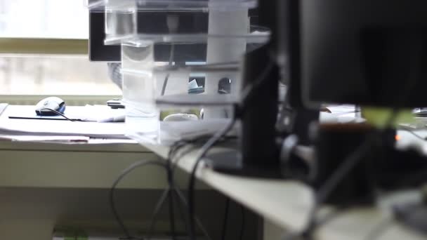 Irodában Dolgozó Munkások Számítógép Billentyűzet Papír Más Eszköz Használata — Stock videók