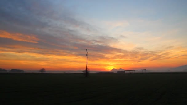 Nebeliger Früher Sonnenuntergang Auf Den Feldern Und Masten Und Einigen — Stockvideo