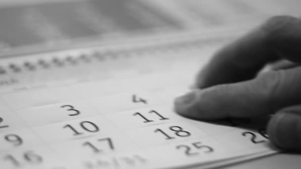 Buscando Una Fecha Calendario — Vídeos de Stock