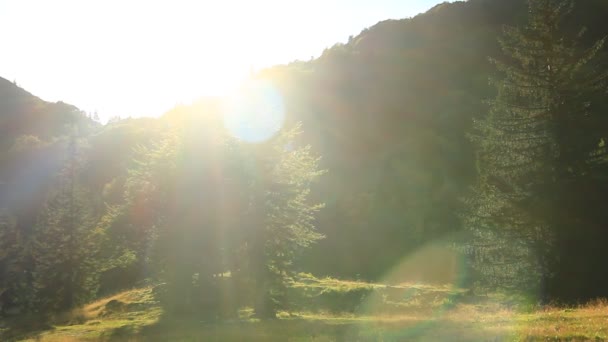 Centre Ski Été Pas Neige Hiver Été Doux Les Préoccupations — Video