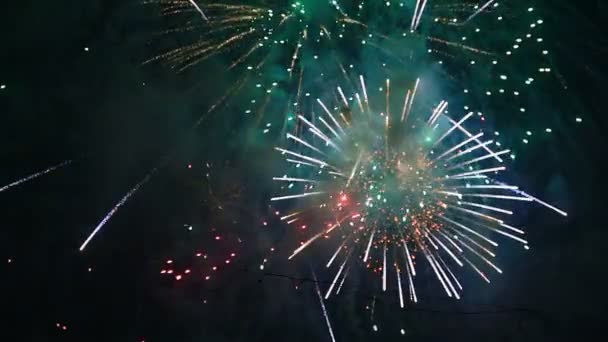 Fuegos Artificiales Cielo Oscuro — Vídeos de Stock