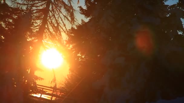 Катання Лижах Гірськолижному Центрі Високі Гори Холодна Зима Час Заходу — стокове відео