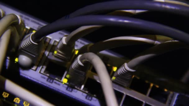 Arbetar Ethernet Switch Dator Utp Kablar Anslutningar Skicka Data Med — Stockvideo