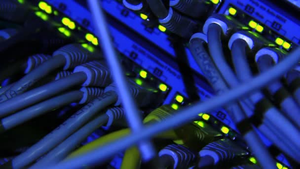 Działa Przełącznik Ethernet Komputer Kable Utp Połączenia Przesyłanie Danych Prędkością — Wideo stockowe