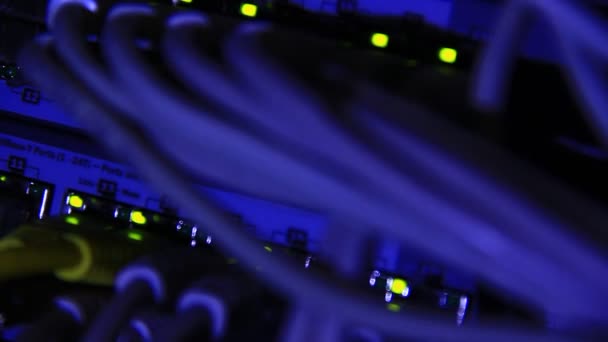 Działa Przełącznik Ethernet Komputer Kable Utp Połączenia Przesyłanie Danych Prędkością — Wideo stockowe