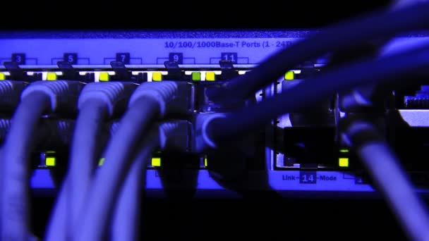 Работает Коммутатор Ethernet Компьютер Utp Кабели Соединений Передача Данных Скоростью — стоковое видео