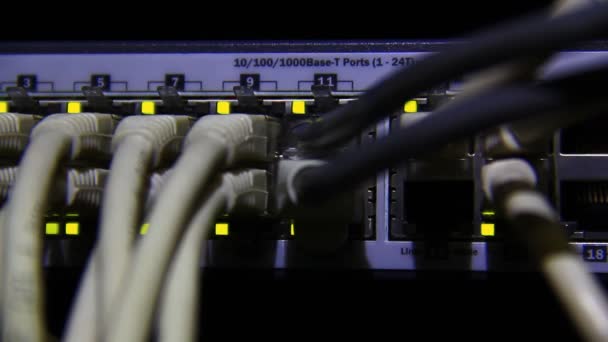 動作しているイーサネットスイッチ コンピュータ Utpケーブル 45接続 100または1000 Mbpsのデータ送信 — ストック動画