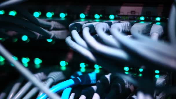 Działa Przełącznik Ethernet Komputer Kable Utp Połączenia Przesyłanie Danych Prędkością — Wideo stockowe
