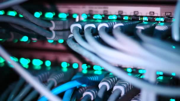 Fonctionnement Commutateur Ethernet Ordinateur Câbles Utp Connexions Envoi Données Avec — Video