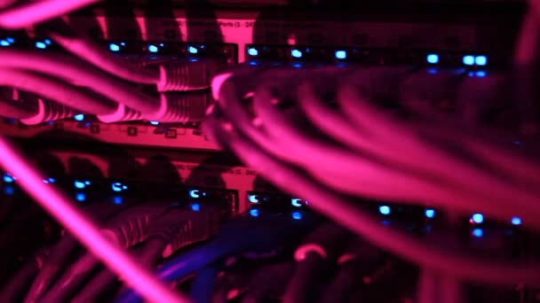 Działa Przełącznik Ethernet Komputer Kable Utp Połączenia Przesyłanie Danych Prędkością — Wideo stockowe