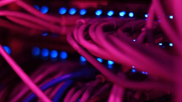 Működő Ethernet Kapcsoló Számítógép Utp Kábelek Csatlakozások 100 Vagy 1000 — Stock videók