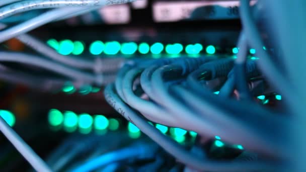 Fonctionnement Commutateur Ethernet Ordinateur Câbles Utp Connexions Envoi Données Avec — Video