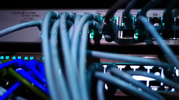 Ethernet Anahtarı Bilgisayar Çalışıyor Utp Kabloları Bağlantıları 100 Veya 1000 — Stok video