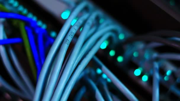 Działa Przełącznik Ethernet Komputer Kable Utp Połączenia Przesyłanie Danych Prędkością — Wideo stockowe