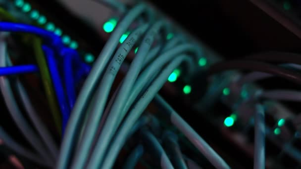 Pracuji Přepínači Ethernet Počítači Utp Kabely Připojení Odesílání Dat 100 — Stock video