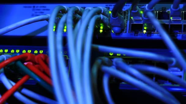 Interruptor Ethernet Trabajo Ordenador Cable Utp Conexiones Envío Datos Con — Vídeos de Stock