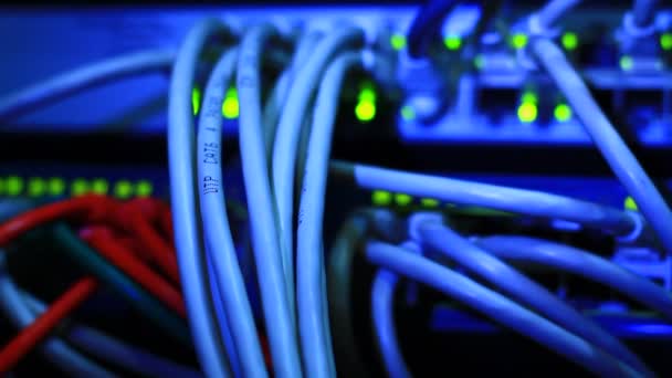 Działa Przełącznik Ethernet Komputer Kable Utp Połączenia Przesyłanie Danych Prędkością — Wideo stockowe