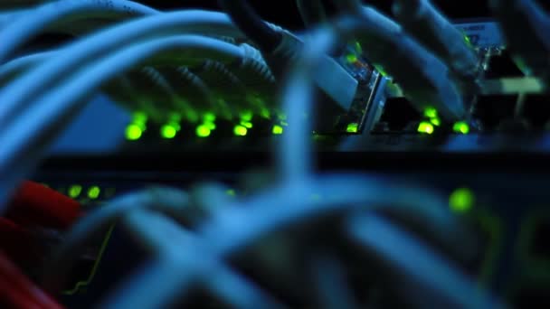 以太网交换机 服务器的工作细节 带有闪烁的引导灯 Utp电缆 45连接器 以10 100或1000 Mbps的速度收发数据 — 图库视频影像