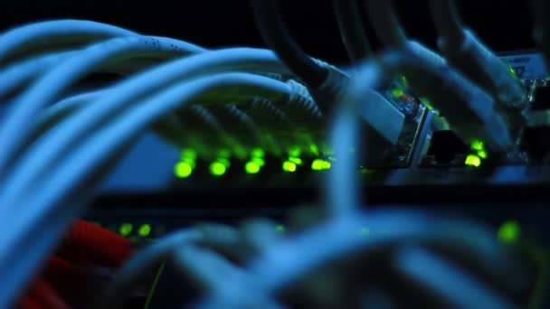 Подробиці Роботи Комутатора Ethernet Сервера Блимаючими Світлодіодними Ліхтарями Utp Кабелями — стокове відео