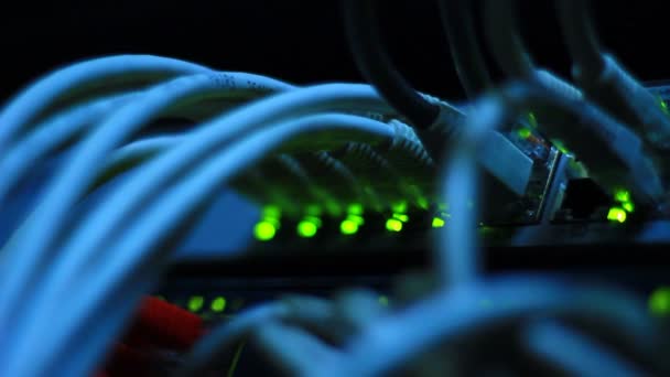 Подробиці Роботи Комутатора Ethernet Сервера Блимаючими Світлодіодними Ліхтарями Utp Кабелями — стокове відео