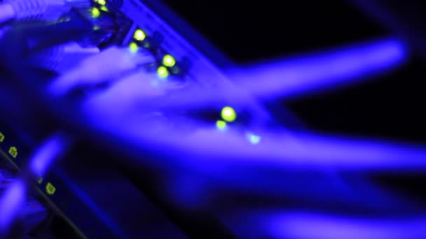 Detalles Del Funcionamiento Máquina Conmutación Servidor Ethernet Con Luces Blindadas — Vídeos de Stock