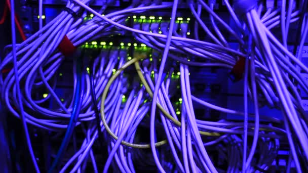 Szczegóły Pracy Przełącznika Ethernet Serwer Migającymi Światłami Led Przewodami Utp — Wideo stockowe