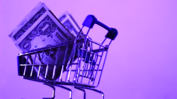 Small Shopping Trolley Dollars Shopping Concept — Stock Video