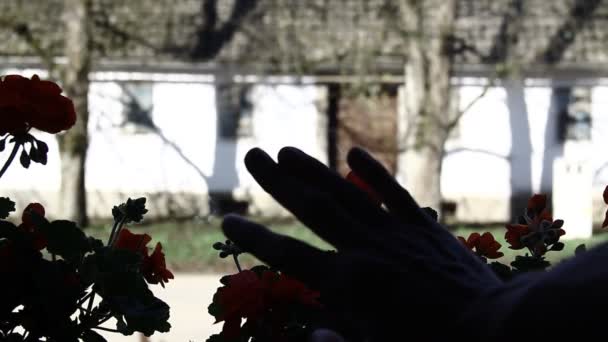 Depressão Uma Mão Palma Masculina Vidro Janela Afligido Sair — Vídeo de Stock