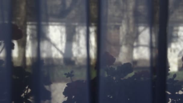 Depression Eine Männliche Hand Auf Dem Fensterglas Affäre Geht Weiter — Stockvideo