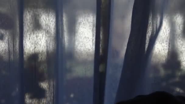 Depresyon Pencere Camında Bir Erkek Avuç Içi Dışarı Çıkmaya Korkuyorum — Stok video