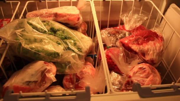 Fruits Meat Other Frozen Goods Refrigerator — Stock Video