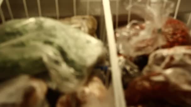 Gyümölcs Hús Más Fagyasztott Áru Hűtőszekrényben — Stock videók