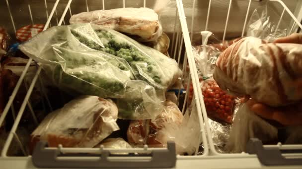 Fruits Meat Other Frozen Goods Refrigerator – Stock-video