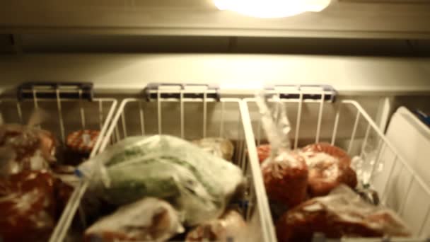 Obst Fleisch Und Andere Tiefkühlware Kühlschrank — Stockvideo