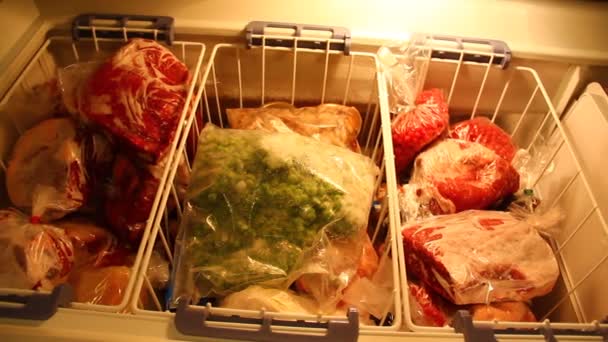 Buah Buahan Daging Dan Barang Beku Lainnya Dalam Lemari — Stok Video