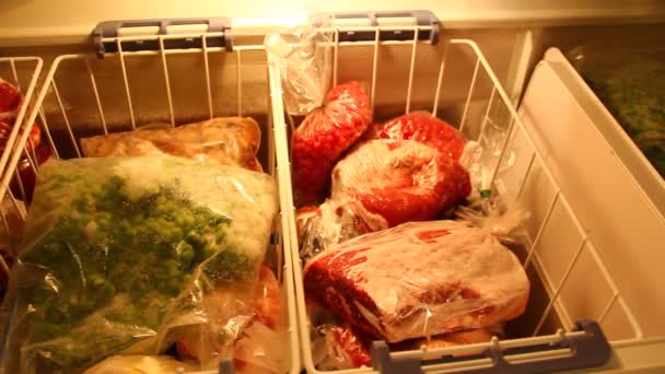 冷蔵庫で果物や肉などの冷凍食品 — ストック動画