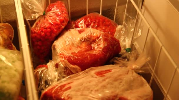 冷蔵庫で果物や肉などの冷凍食品 — ストック動画